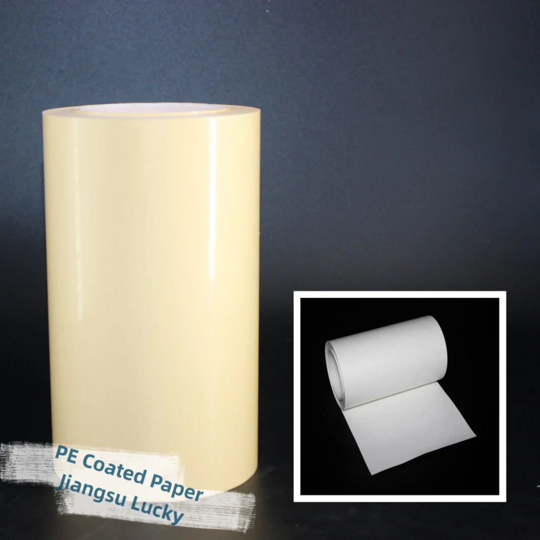 Damp-Proof /Oil-Proof PE Coated Paper, Produced by Jiangsu Lucky Company